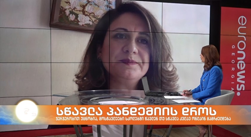 ნინო რევიშვილი – განათლების პოლიტიკის მკვლევარი