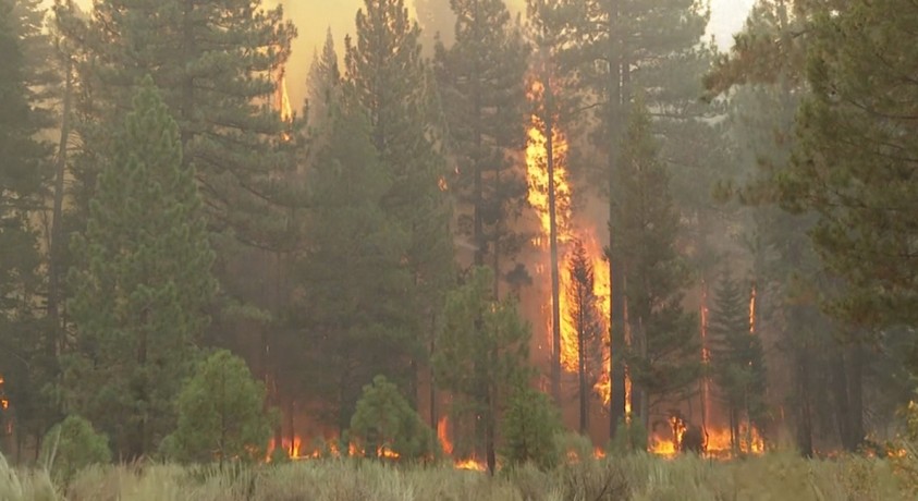 აშშ, კალიფორნია