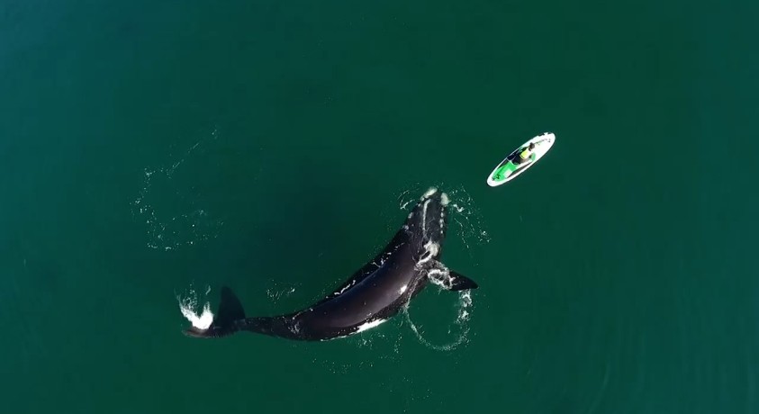 არგენტინა