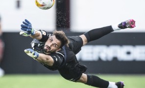 თვის საუკეთესო მოგერიება