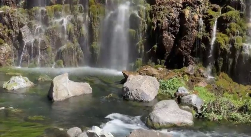 რა პოტენციალი აქვს წალკის მუნიციპალიტეტს?