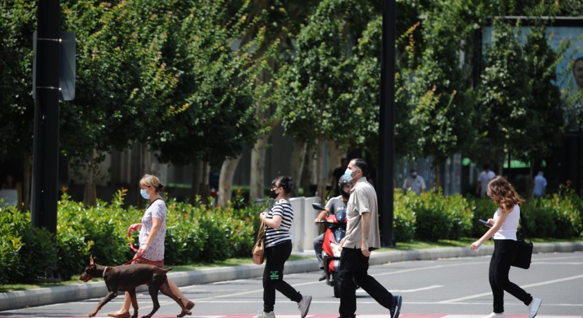 მსოფლიო დღე ავტომობილების გარეშე