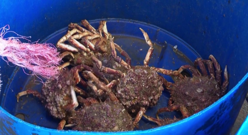 საფრანგეთი ევროკომისიას მოუწოდებს, დიდი ბრიტანეთის მიმართ მეტი სიმკაცრე გამოიჩინოს