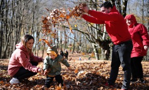 შემოდგომის ფოტოქრონიკა