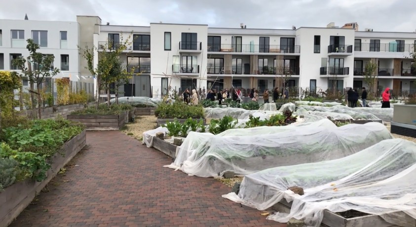 ბრიუსელში სუპერმარკეტის სახურავზე ბაღი გააშენეს