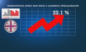 უმუშევრობის ზრდით საქართველო რეგიონის ქვეყნებს შორის ლიდერია