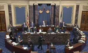 სენატში შავი ზღვის რეგიონის მნიშვნელობაზე საუბრობენ