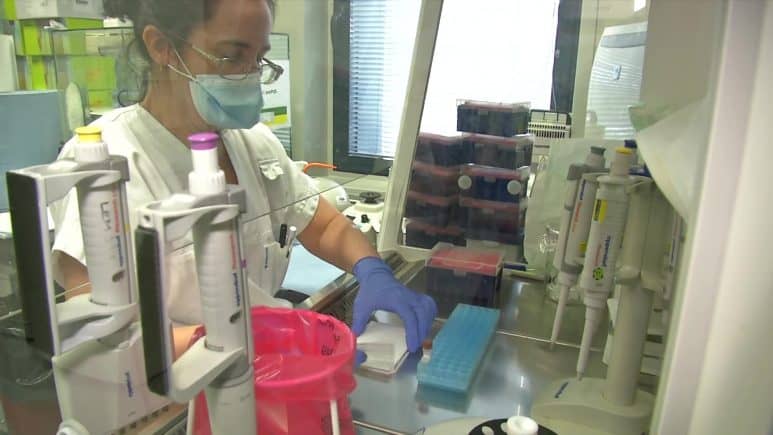 “გარგტესტი” კორონა ვირუსს სწრაფად და მარტივად ადგენს