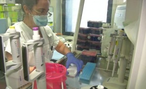 “გარგტესტი” კორონა ვირუსს სწრაფად და მარტივად ადგენს