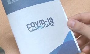 საქართველოში “მწვანე საშვის” პრინციპი პირველი დეკემბრიდან ამოქმედდება