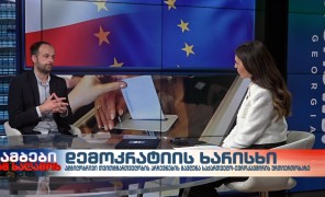 ინტერვიუ ახალგაზრდა იურისტთა ასოციაციის წარმომადგენელ ვახუშტი მენაბდესთან