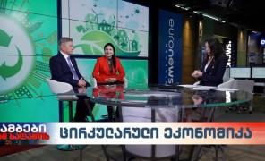 ცირკულარული ეკონომიკის მნიშვნელობა და პერსპექტივები საქართველოში