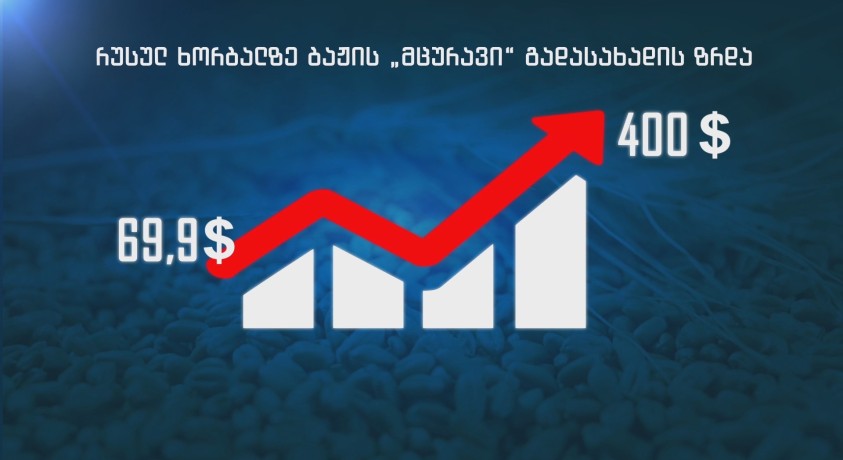 საქართველოში პური შესაძლოა ისევ გაძვირდეს