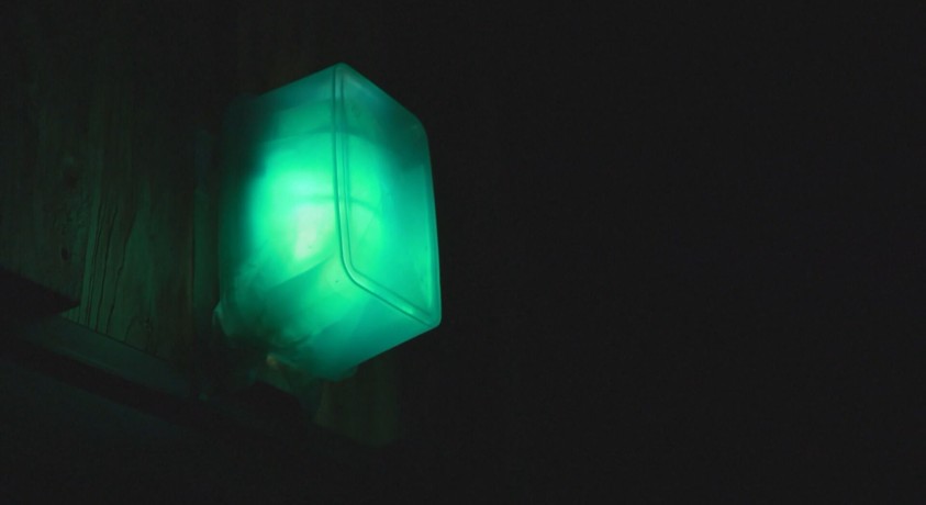 პოლონეთისა და ბელარუსის საზღვარზე მწვანე შუქი მიგრანტებს გზას უნათებს