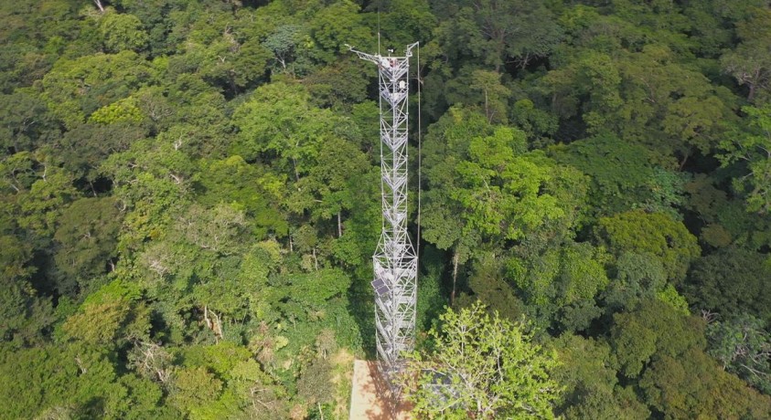 კონგოს დემოკრატიული რესპუბლიკის ტროპიკული ტყე კლიმატური ცვლილებების წინააღმდეგ