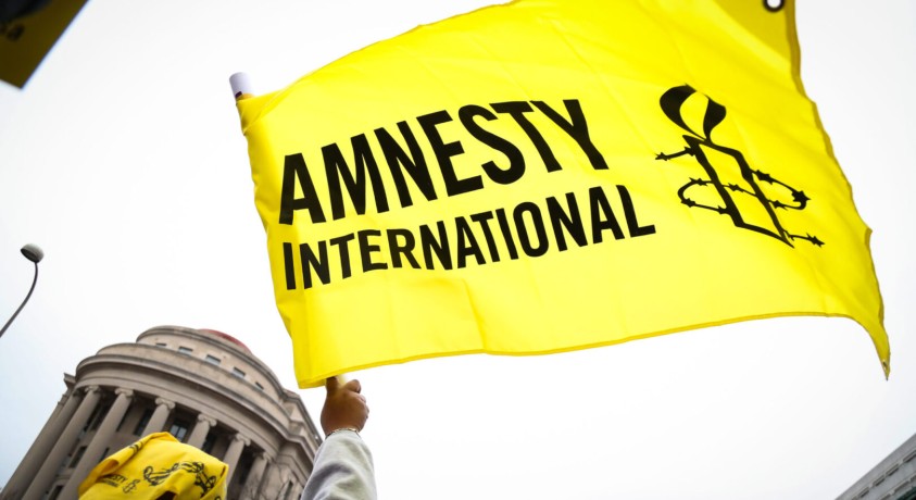 Amnesty International – მთავრობამ პატივი უნდა სცეს და არ შეაფერხოს უფლებადამცველი ინსტიტუტების მუშაობა 