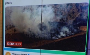 ამაზონის ტყეების განადგურების მაჩვენებელმა ბოლო 15 წლის განმავლობაში უმაღლეს ნიშნულს მიაღწია