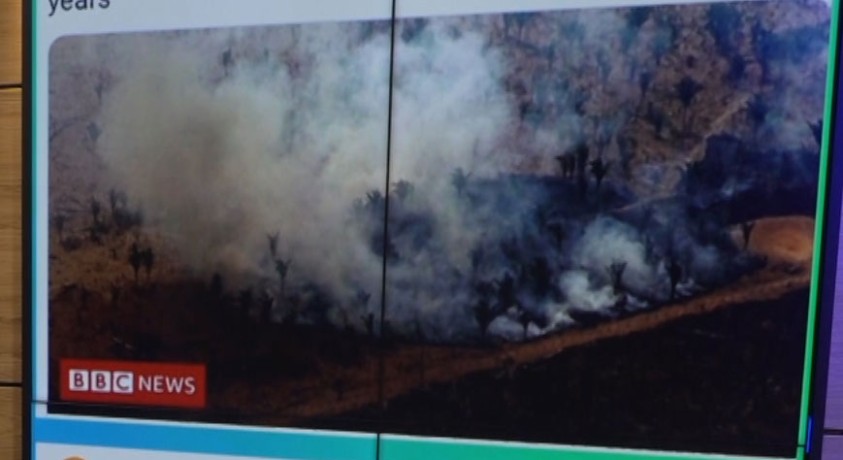 ამაზონის ტყეების განადგურების მაჩვენებელმა ბოლო 15 წლის განმავლობაში უმაღლეს ნიშნულს მიაღწია