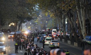 ცოცხალი ჯაჭვი რუსთაველის გამზირზე – 23 ნოემბრის ფოტოქრონიკა