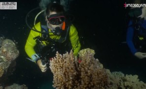 ავსტრალია