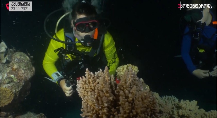 ავსტრალია