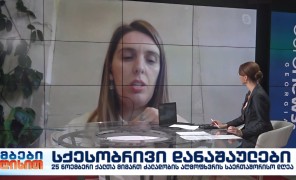 თამარ ლუკავა – “საფარის” იურისტი