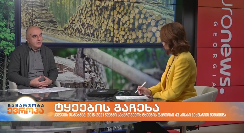 2016-2021 წლებში საქართველოს ტყეების ფართობი 43 ათასი ჰექტარით შემცირდა