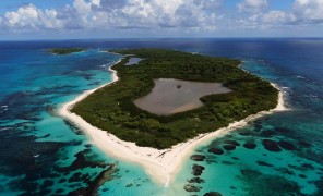 გვადალუპის აქრიპელაგის სამოთხე არ უნდა დაიკარგოს