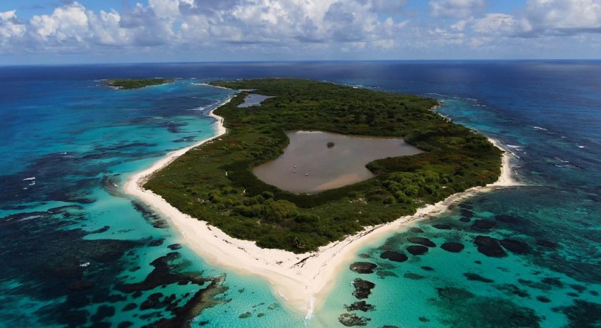 გვადალუპის აქრიპელაგის სამოთხე არ უნდა დაიკარგოს