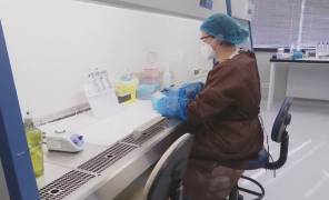 ახალი შტამი “ომიკრონი” საქართველოში ჯერჯერობით არ დადასტურებულა