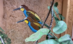 საქართველოს წითელი ნუსხა განახლების პროცესშია