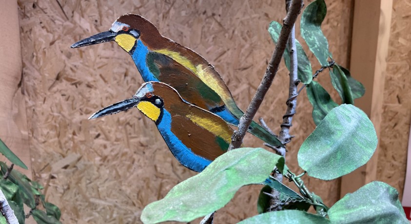 საქართველოს წითელი ნუსხა განახლების პროცესშია