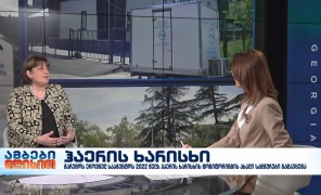 მარინა არაბიძე – გარემოს დაბინძურების მონიტორინგის სამსახურის უფროსი