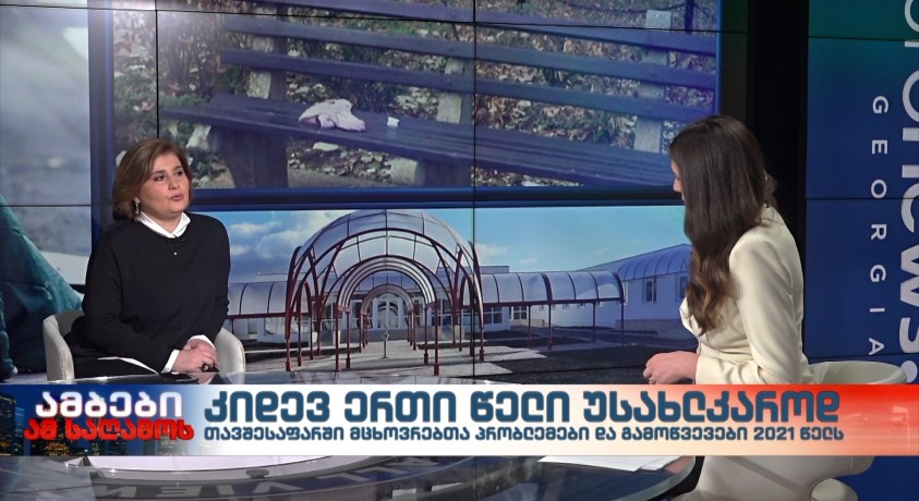 ინტერვიუ ნინო ბისეიშვილთან, თბილისის მუნიციპალური თავშესაფრის დირექტორის მოადგილესთან