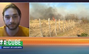 რა იწვევს ტყის ხანძარს ზამთარში