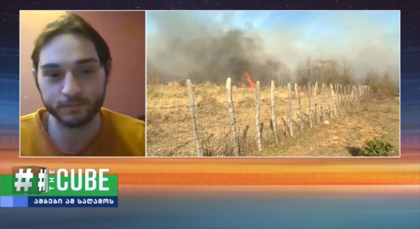 რა იწვევს ტყის ხანძარს ზამთარში