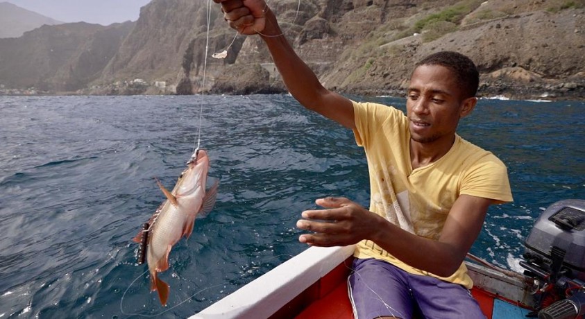 მდგრადი თევზჭერა, რომელიც ყოველმხრივ მომგებიანია