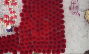 ვიეტნამი