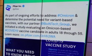 „ფაიზერმა“ და „ბიონტექმა“ ომიკრონის შტამის წინააღმდეგ სპეციფიკური ვაქცინის გამოცდა დაიწყეს