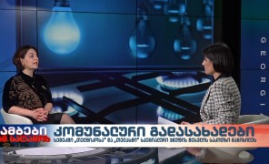 სალომე ვარდიაშვილი – საქართველოს ენერგოომბუდსმენი