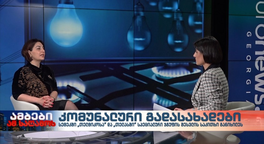 სალომე ვარდიაშვილი – საქართველოს ენერგოომბუდსმენი