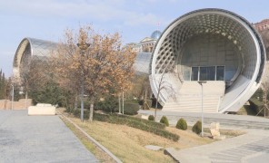 “რიყის დოქები” აუქციონზეა