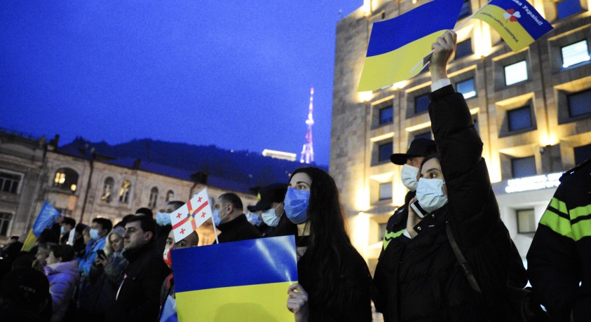 უკრაინის მხარდამჭერი აქცია მთავრობის კანცელარიასთან