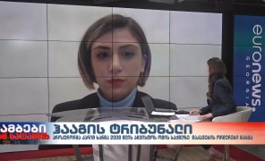 ჰააგის ტრიბუნალი – საიას საერთაშორისო სამართალწარმოების გუნდის ხელმძღვანელი, თამარ ონიანი