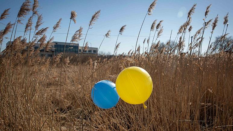 რუსეთის უკრაინაში შეჭრის შემდეგ ხორბლის ფასი 50%-ით გაიზარდა
