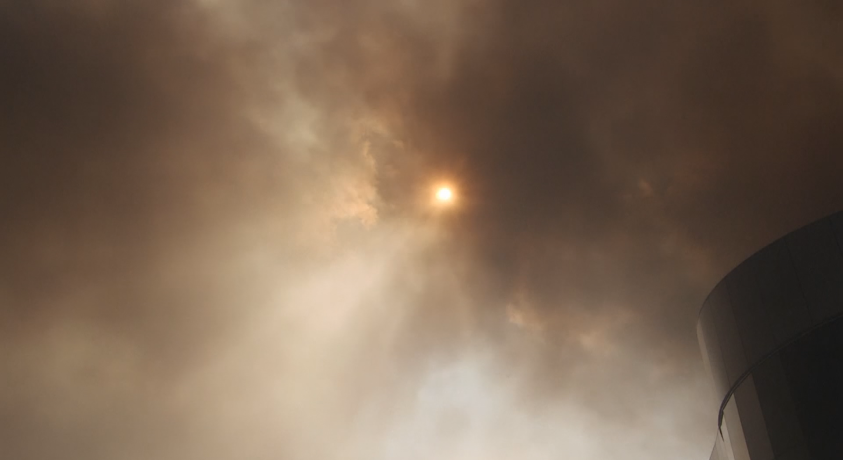 ომის ჩუმი მსხვერპლი