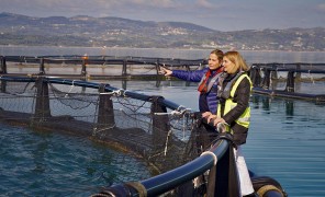 ქალები, რომლებიც ლურჯი ეკონომიკის სტერეოტიპს ამსხვრევენ