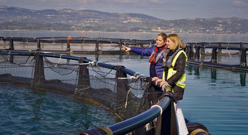 ქალები, რომლებიც ლურჯი ეკონომიკის სტერეოტიპს ამსხვრევენ