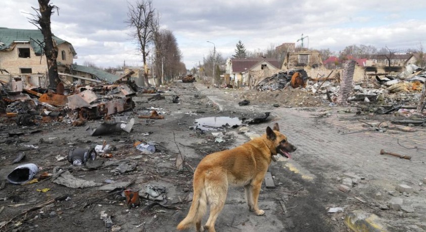 ბოროდიანკას დასახლებაში 200 ადამიანი უგზო-უკვლოდ დაკარგულად ითვლება