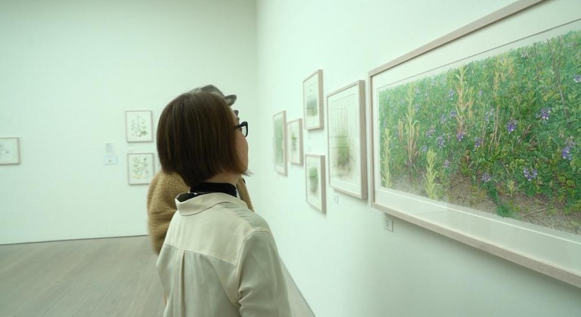 ყვავილების ძალა: „ლონდონის სააჩი გალერეა“ ბოტანიკურ თემას მასპინძლობს